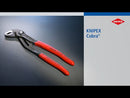KNIPEX COBRA WATER PUMP MULTIGRIPS 250MM